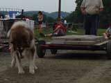 DSC00673t.jpg