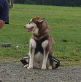 DSC00685t.jpg