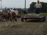 DSC00689t.jpg
