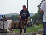 DSC00697t.jpg