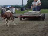 DSC00710t.jpg