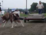 DSC00716t.jpg