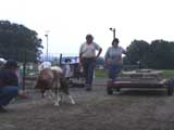 DSC00738t.jpg
