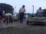 DSC00740t.jpg