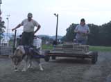 DSC00744t.jpg