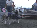 DSC00745t.jpg