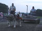 DSC00749t.jpg