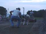 DSC00753r.jpg