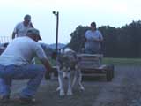 DSC00754t.jpg