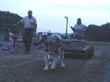 DSC00755t.jpg