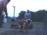 DSC00756t.jpg