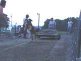 DSC00757t.jpg