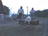 DSC00758t.jpg