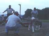 DSC00759t.jpg