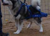 DSC000104t.jpg