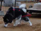 DSC000105t.jpg