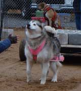 DSC000106t.jpg