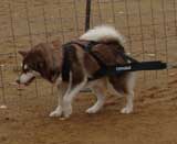 DSC000109t.jpg
