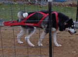 DSC000112t.jpg