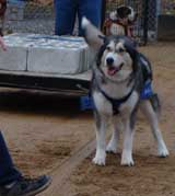 DSC000113t.jpg