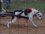 DSC000123t.jpg