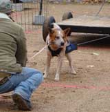 DSC00047t.jpg