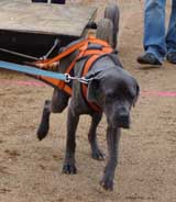 DSC00054t.jpg