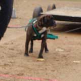 DSC00056t.jpg