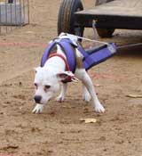 DSC00059t.jpg