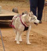 DSC00077t.jpg