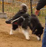 DSC00080t.jpg