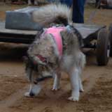 DSC00097t.jpg