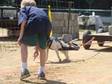 Canine Weight Pull