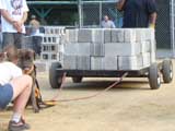 Canine Weight Pull