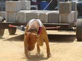 Canine Weight Pull