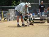 Canine Weight Pull