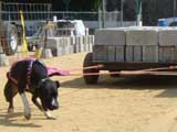 Canine Weight Pull
