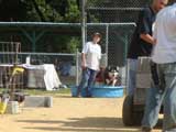 Canine Weight Pull