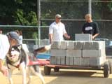 Canine Weight Pull