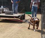 DSC0039t3.jpg