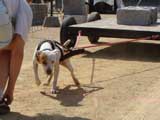 DSC00396t.jpg