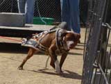 DSC00397t.jpg