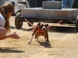 DSC00406t.jpg