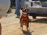 DSC00407t.jpg