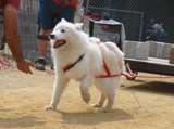 DSC00421t.jpg