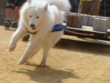 DSC00422t.jpg