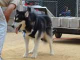 DSC00435t.jpg