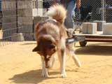 DSC00443t.jpg
