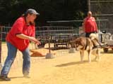 DSC00473t.jpg