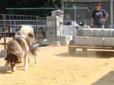 DSC00486t.jpg